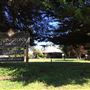 Pambula