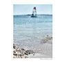 Cook at Kurnell