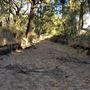 Western Focus Backdrop & Prop Studio - Mudgee Rural Location