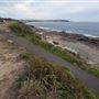 McKillop Park