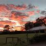 Clifden Park Stables