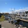 Bermagui