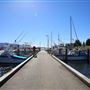 Bermagui