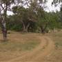 Whylandra Crossing, Dubbo