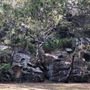 Bonnet Bay - Burnum Burnum Sanctuary & Tom Evans Field