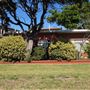 Kurnell Neighbourhood