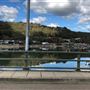 Woronora