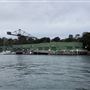 Goat Island