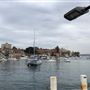 Manly