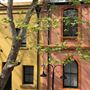Gloucester Street Buildings