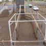 Dubbo Saleyards