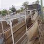 Dubbo Saleyards