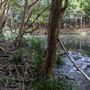 Clarrie Hall Dam