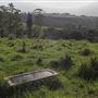 Coolamon Scenic Drive in the Byron Bay Hinterlands