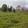 Coolamon Scenic Drive in the Byron Bay Hinterlands