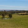 Coolamon Scenic Drive in the Byron Bay Hinterlands