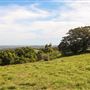 Coolamon Scenic Drive in the Byron Bay Hinterlands