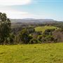 Coolamon Scenic Drive in the Byron Bay Hinterlands