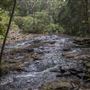 Minyon Falls - Nightcap National Park
