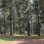 Jenolan State Forest
