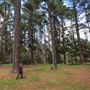 Jenolan State Forest