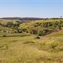 Taralga countryside