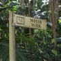 Ardeena - Jungle / Rainforest Private Property