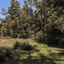 Ardeena - Jungle / Rainforest Private Property