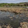 Bombo Headland Quarry