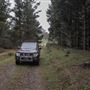 Douglas Fir Stand - Vulcan State Forest