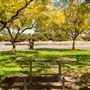 Tamworth