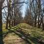 Armidale