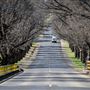 Armidale