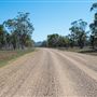 Curlewis
