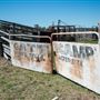 Gunnedah