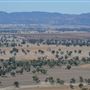 Gunnedah