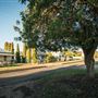 Werris Creek