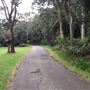 Nielsen Park