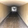 Tunnel - Nielson Park