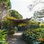 Camelia Gardens