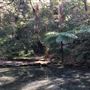 Trumper Park