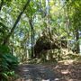 Glengariff Estate Rainforest