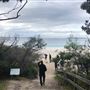 Hyams Beach - Jervis Bay