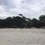 Hyams Beach - Jervis Bay