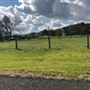 Bolong Farms