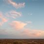 Broken Hill Living Desert