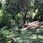 Otford Farm - Paintball Property