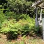 Otford Farm - Paintball Property