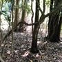 Otford Farm - Paintball Property