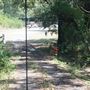 Otford Farm - Paintball Property
